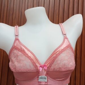 Saneeta Bra (32-40 Size)