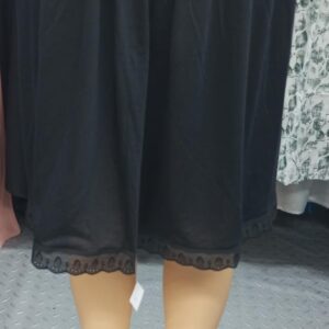 underskirt [S]